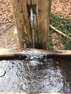 Wasser im Walde.jpg