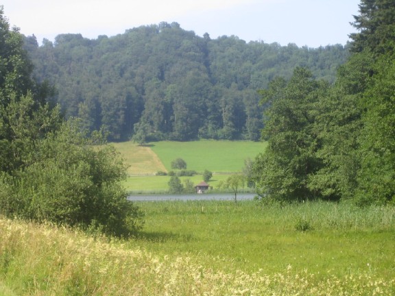 Wasser_Tuerlersee.jpg