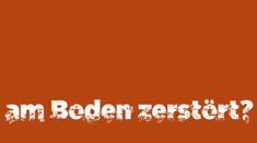 auffangnetz1.jpg